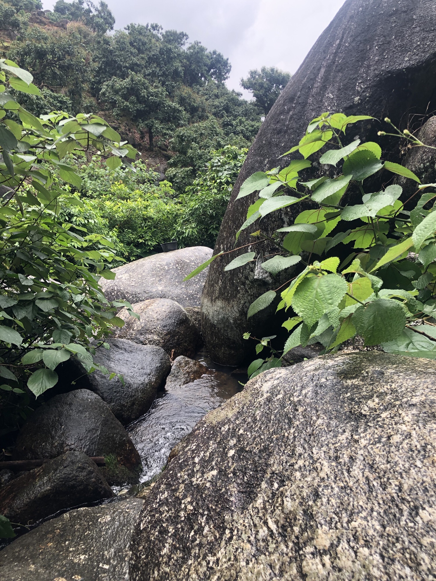 高林情人谷旅游区旅行图片 3