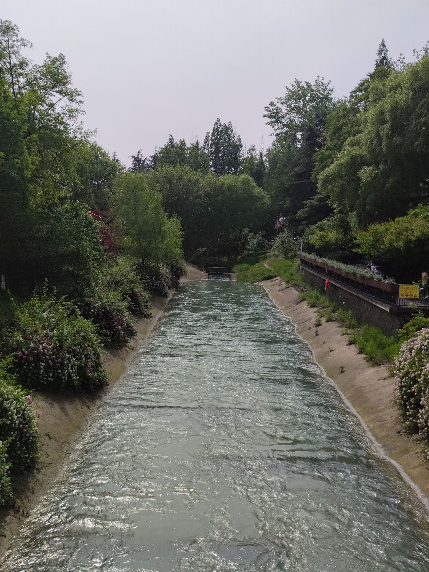 跑鱼河文化公园旅行图片 1