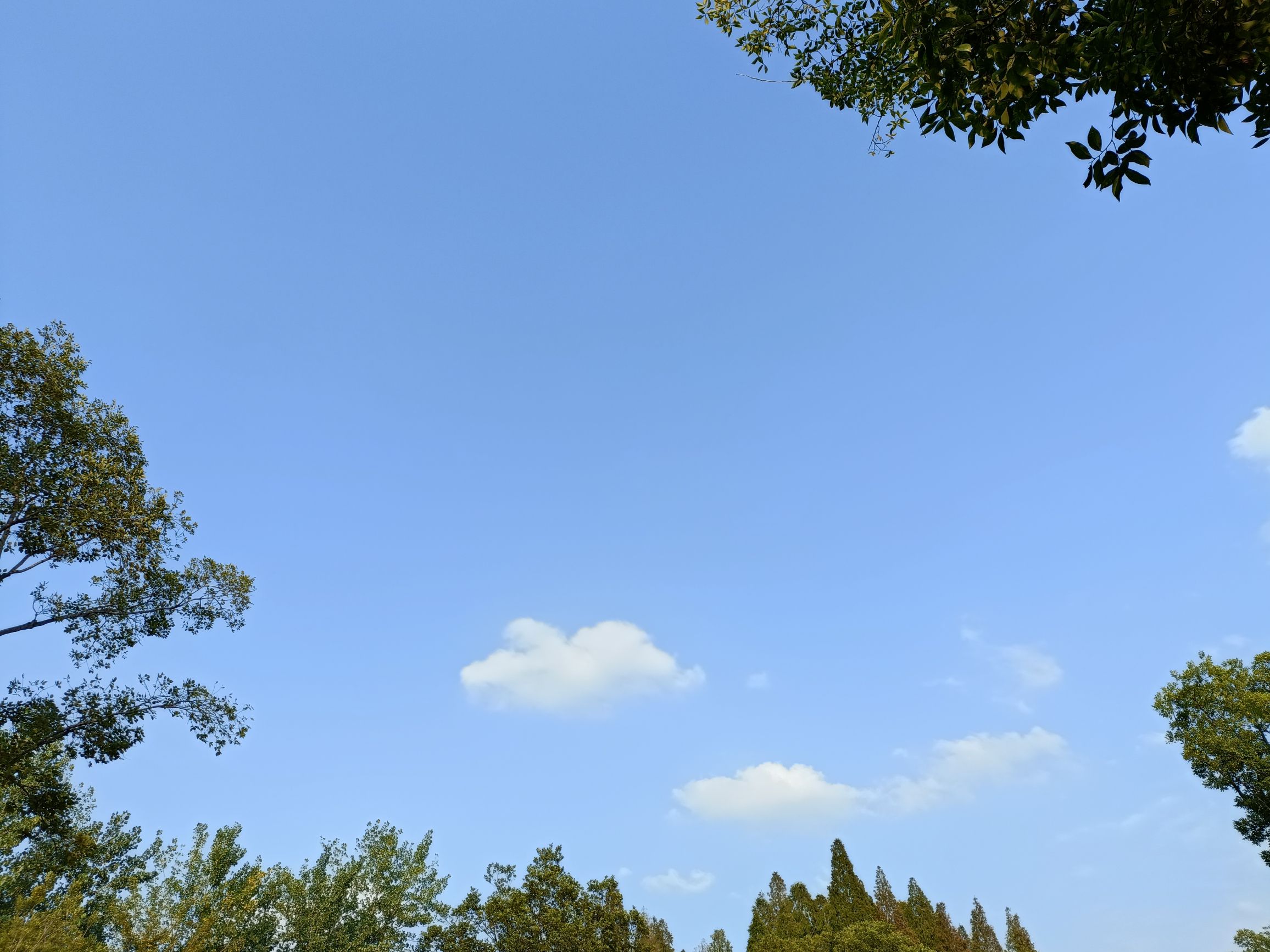 跑鱼河文化公园旅行图片 2