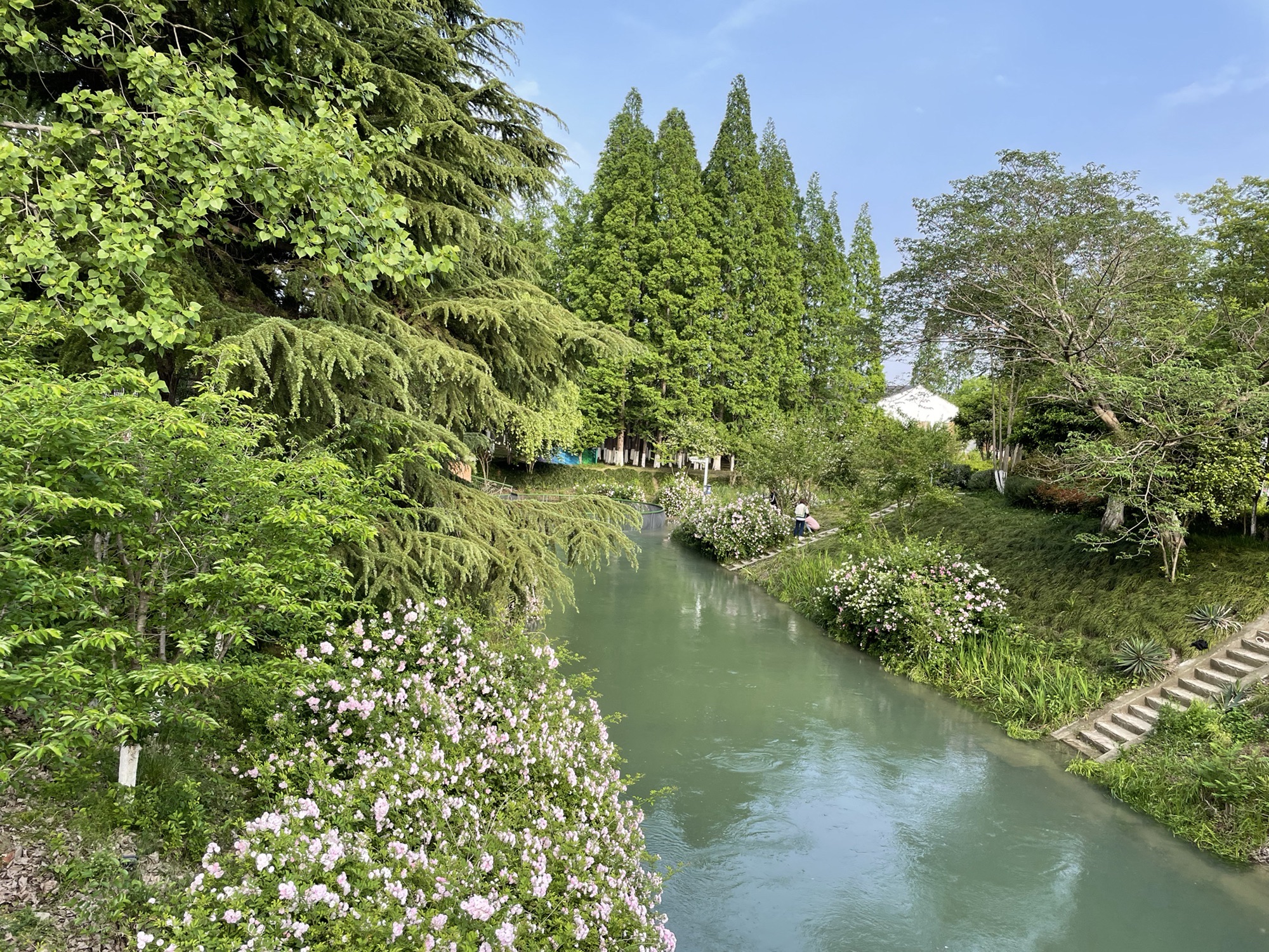 跑鱼河文化公园旅行图片 1