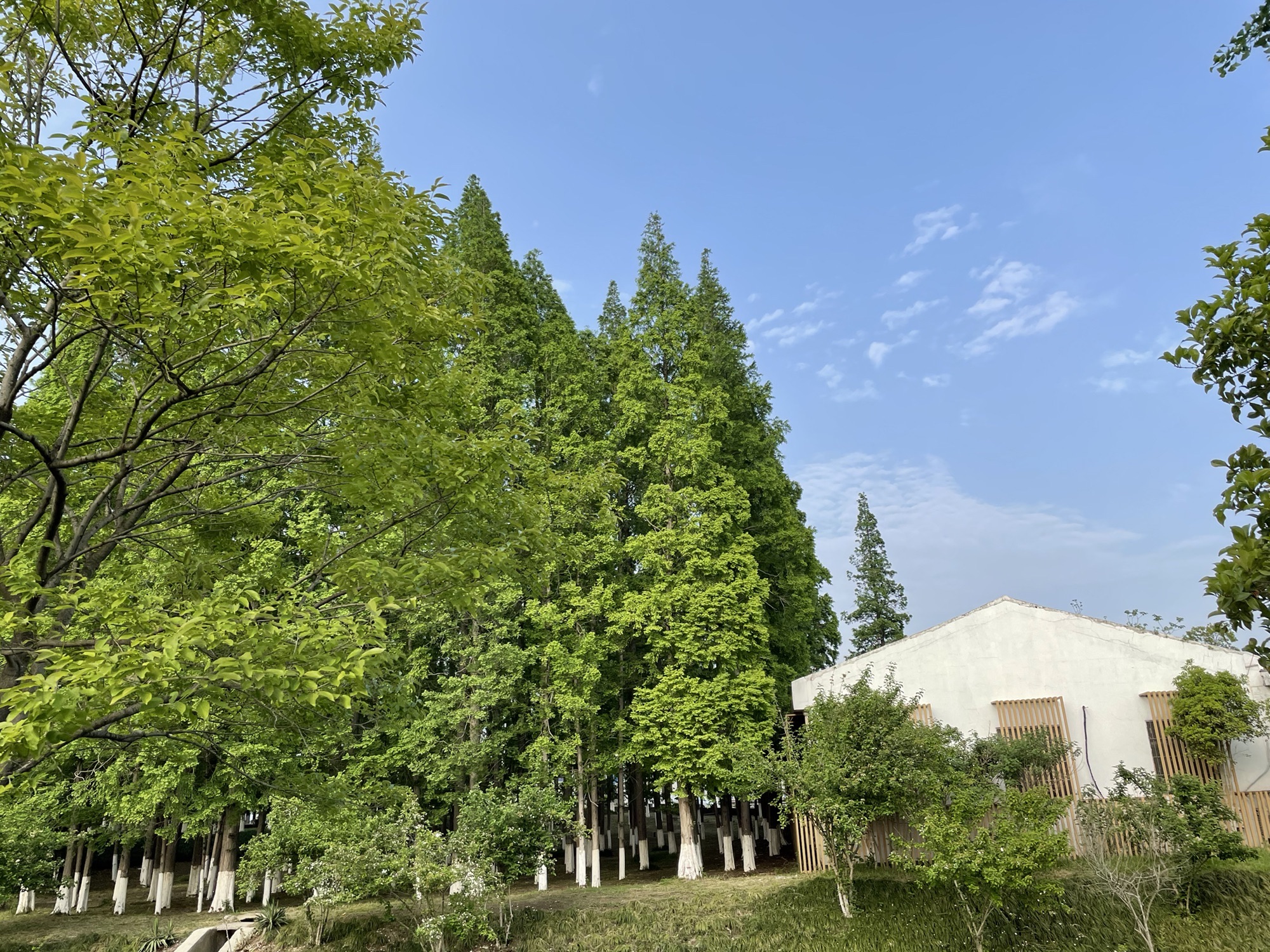 跑鱼河文化公园旅行图片 2