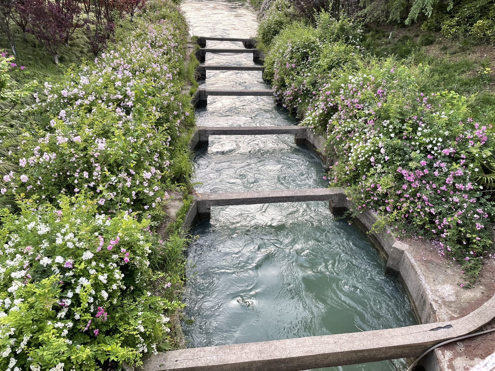 跑鱼河文化公园旅行图片 3