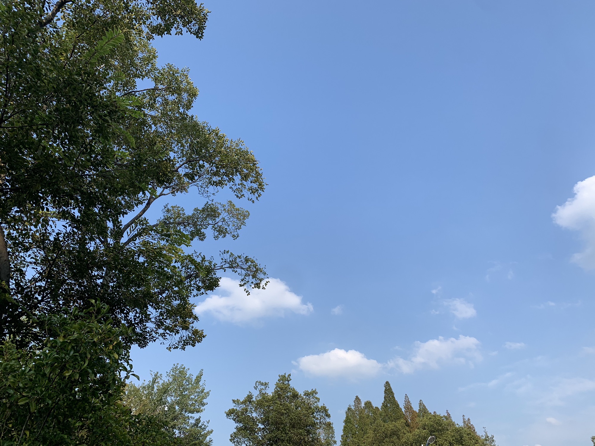 跑鱼河文化公园旅行图片 2