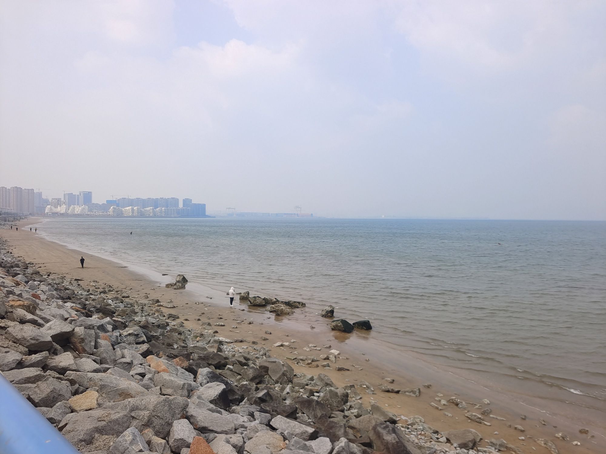 金沙滩湿地公园旅行图片 3