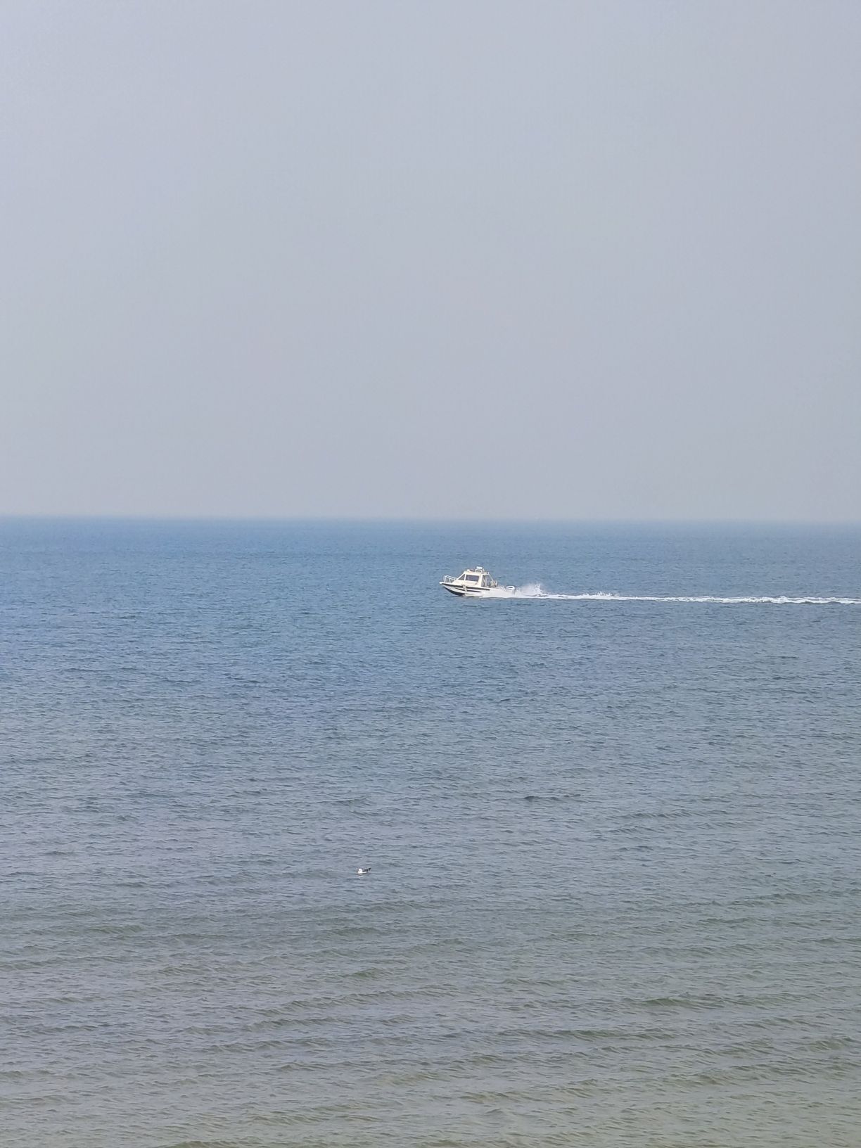 金沙滩湿地公园旅行图片 2