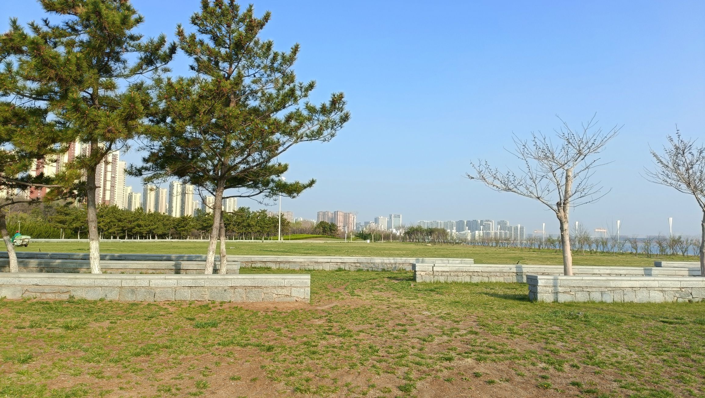 金沙滩湿地公园旅行图片 3