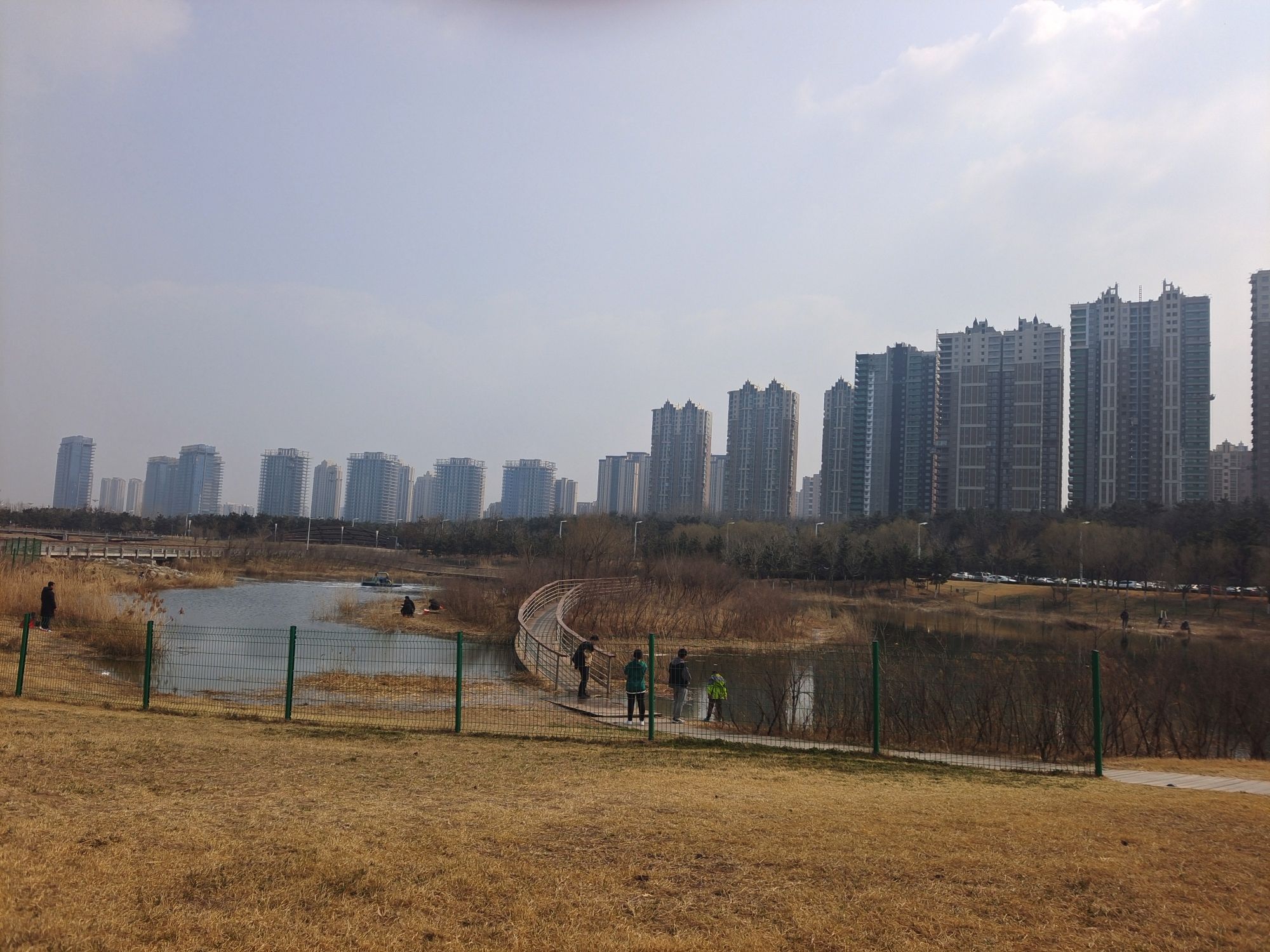 金沙滩湿地公园旅行图片 1