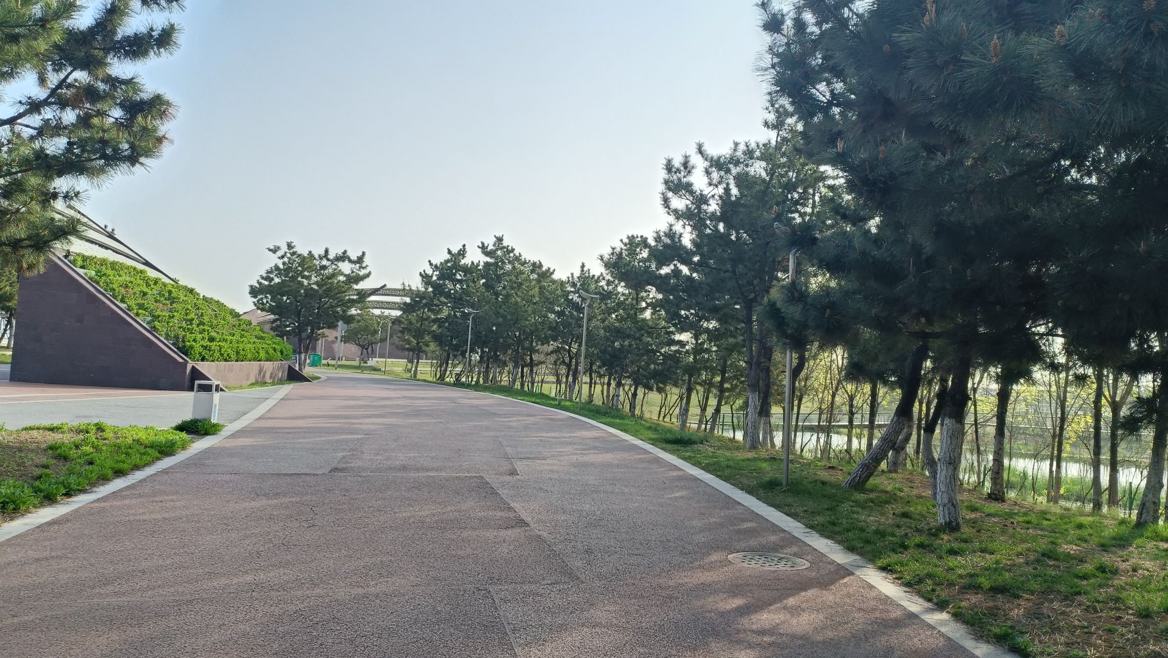 金沙滩湿地公园旅行图片 2