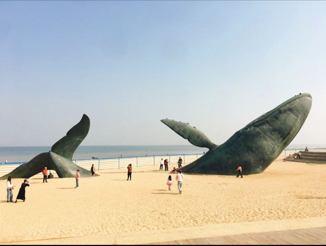 金沙滩湿地公园旅行图片 3