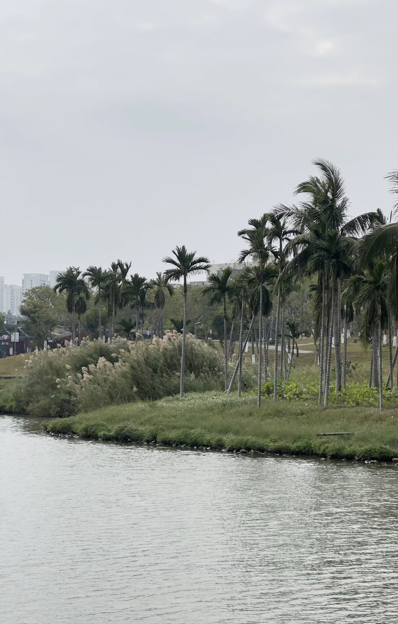 美舍河凤翔湿地公园旅行图片 2