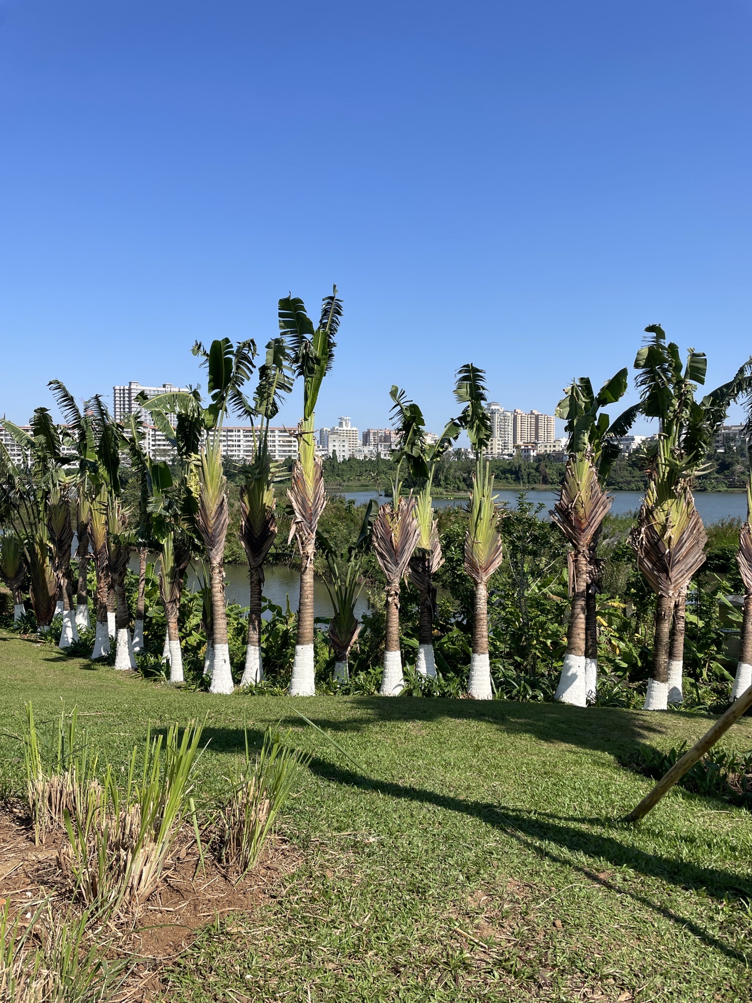 美舍河凤翔湿地公园旅行图片 3