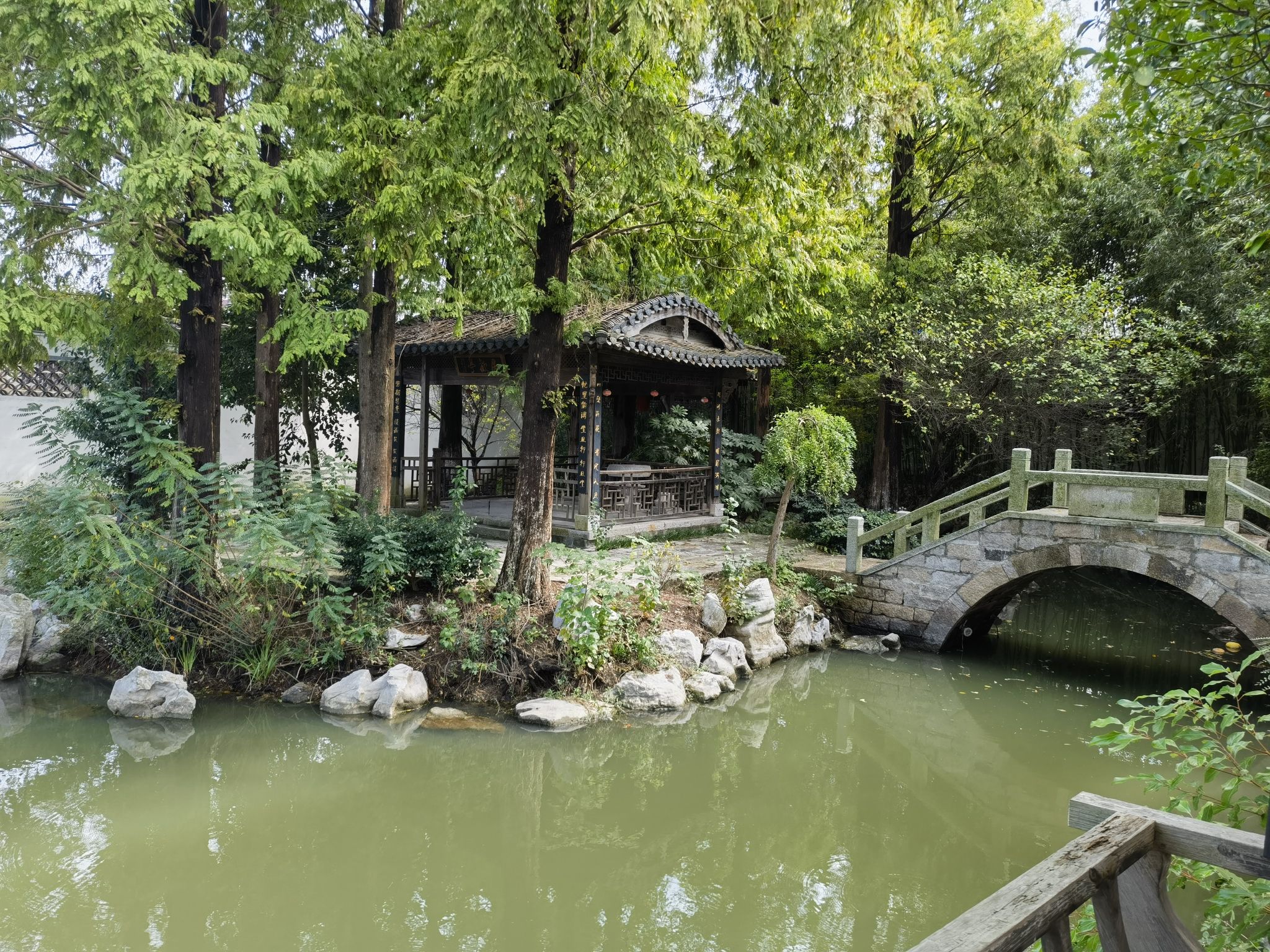 漫园旅行图片 3