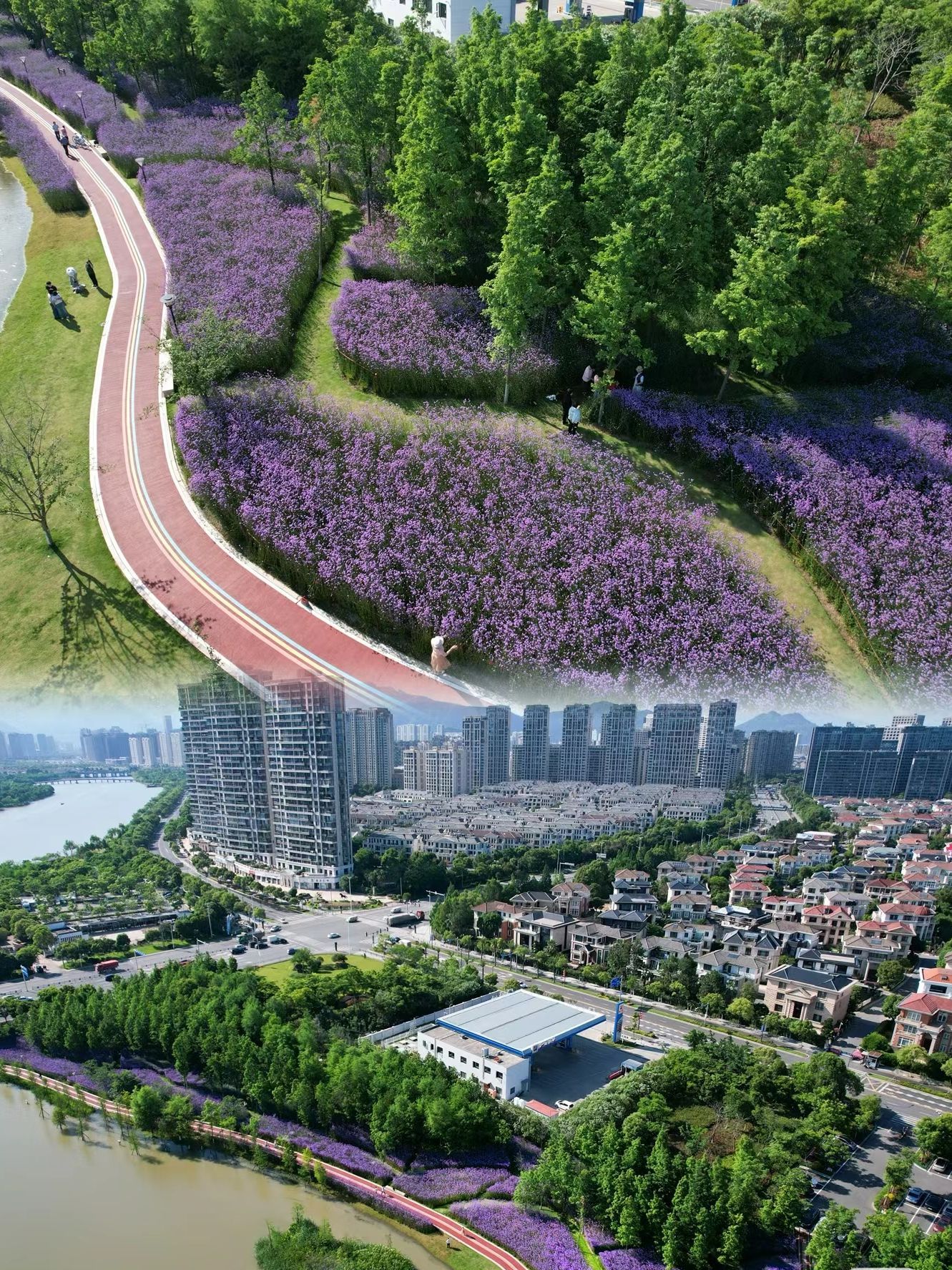 胜利塘公园旅行图片 2