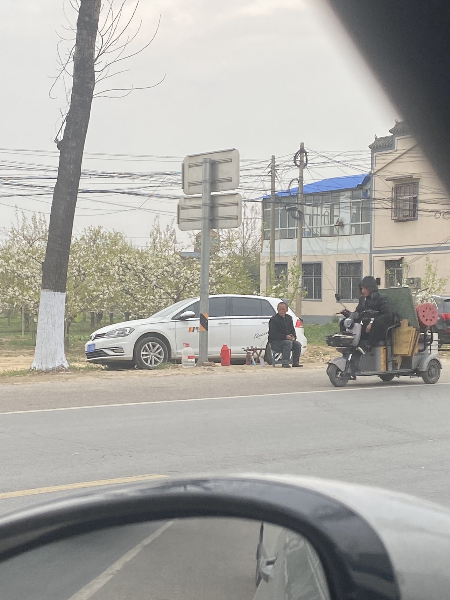 宁陵万亩梨园景区旅行图片 3
