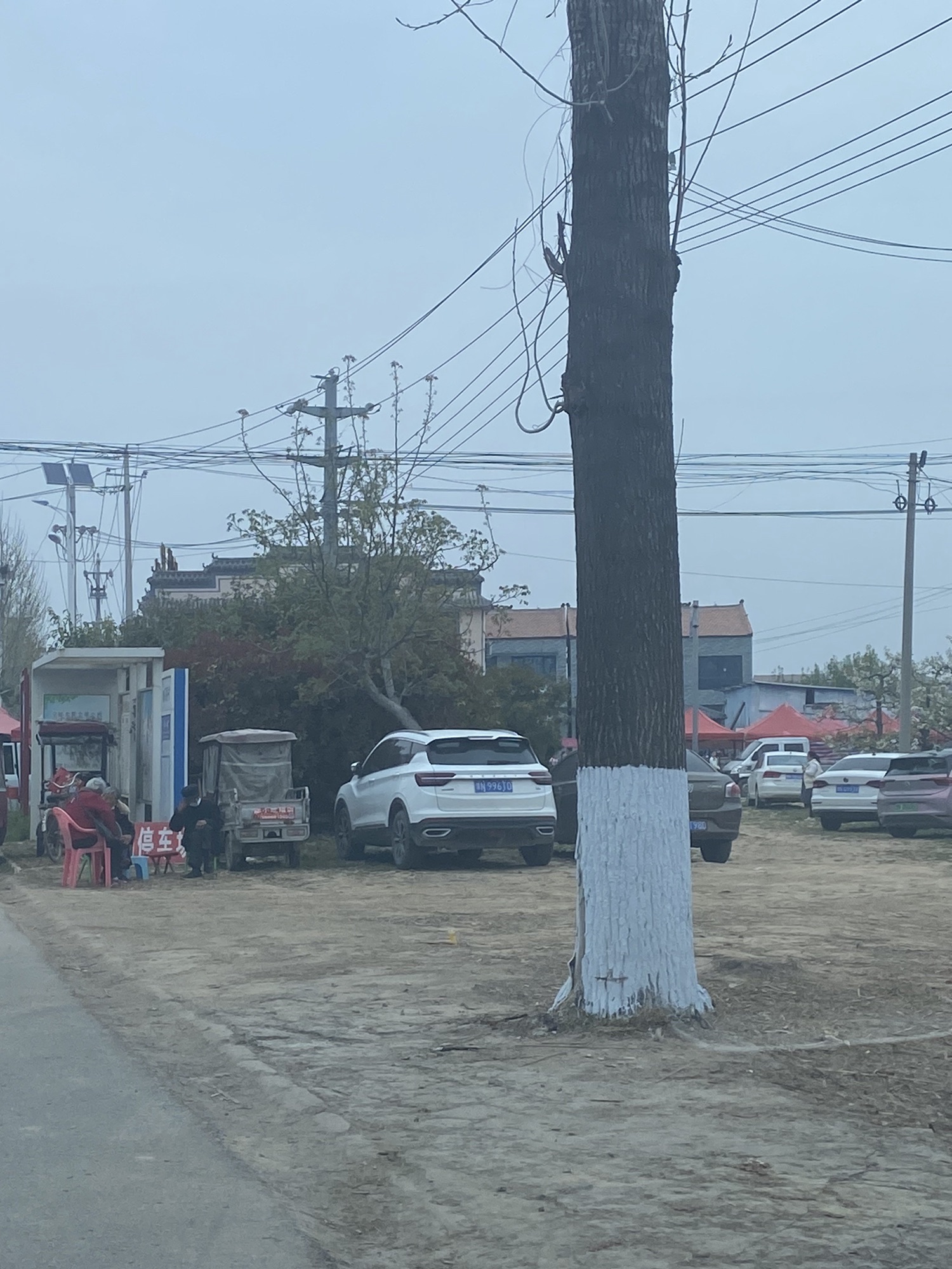 宁陵万亩梨园景区旅行图片 2
