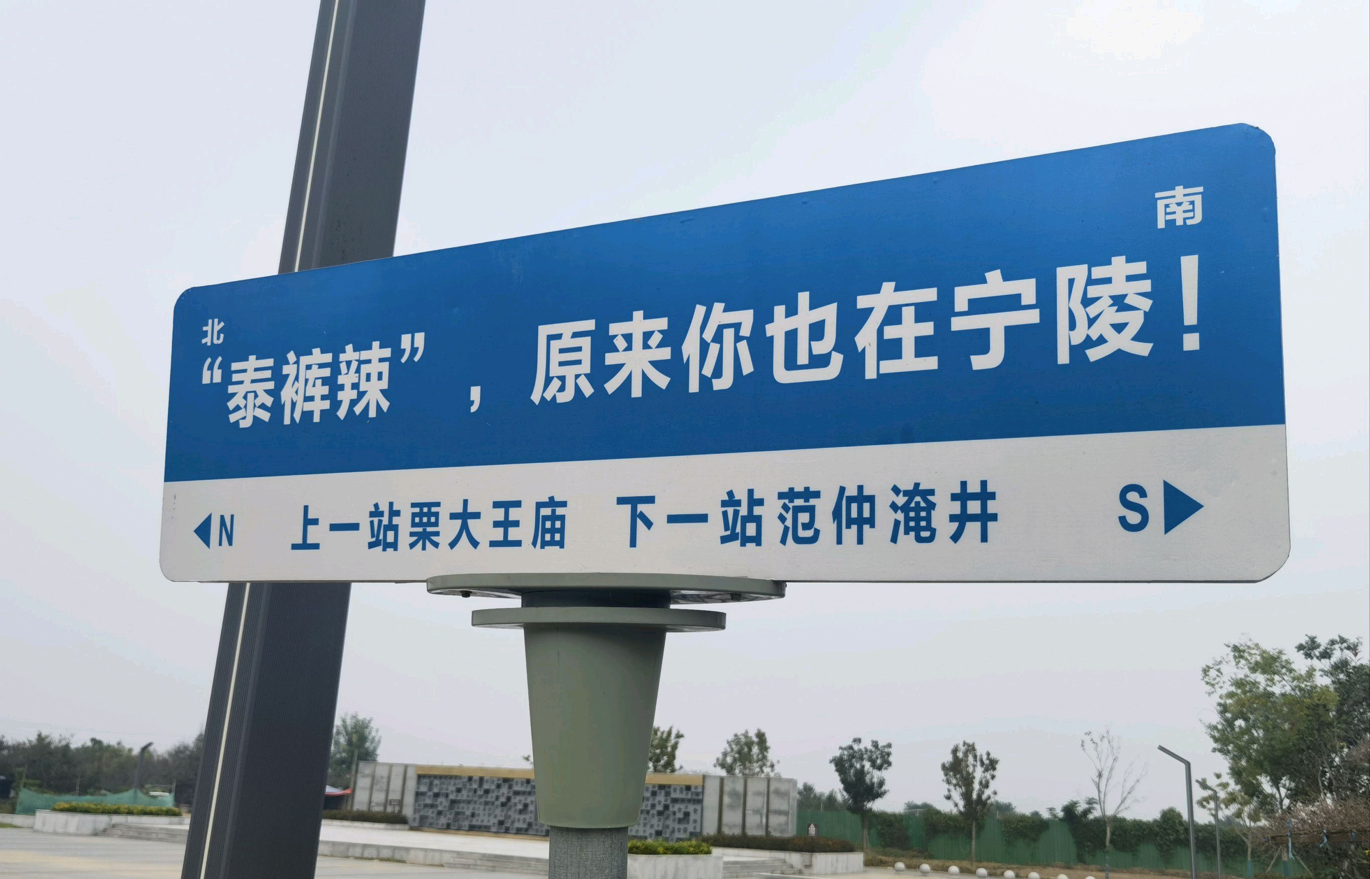 宁陵万亩梨园景区旅行图片 1