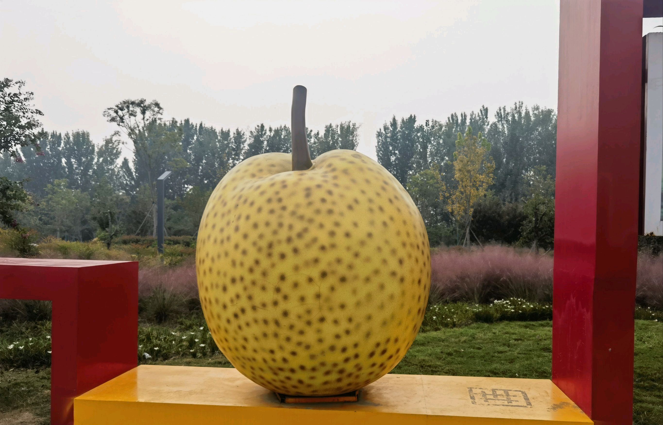 宁陵万亩梨园景区旅行图片 3
