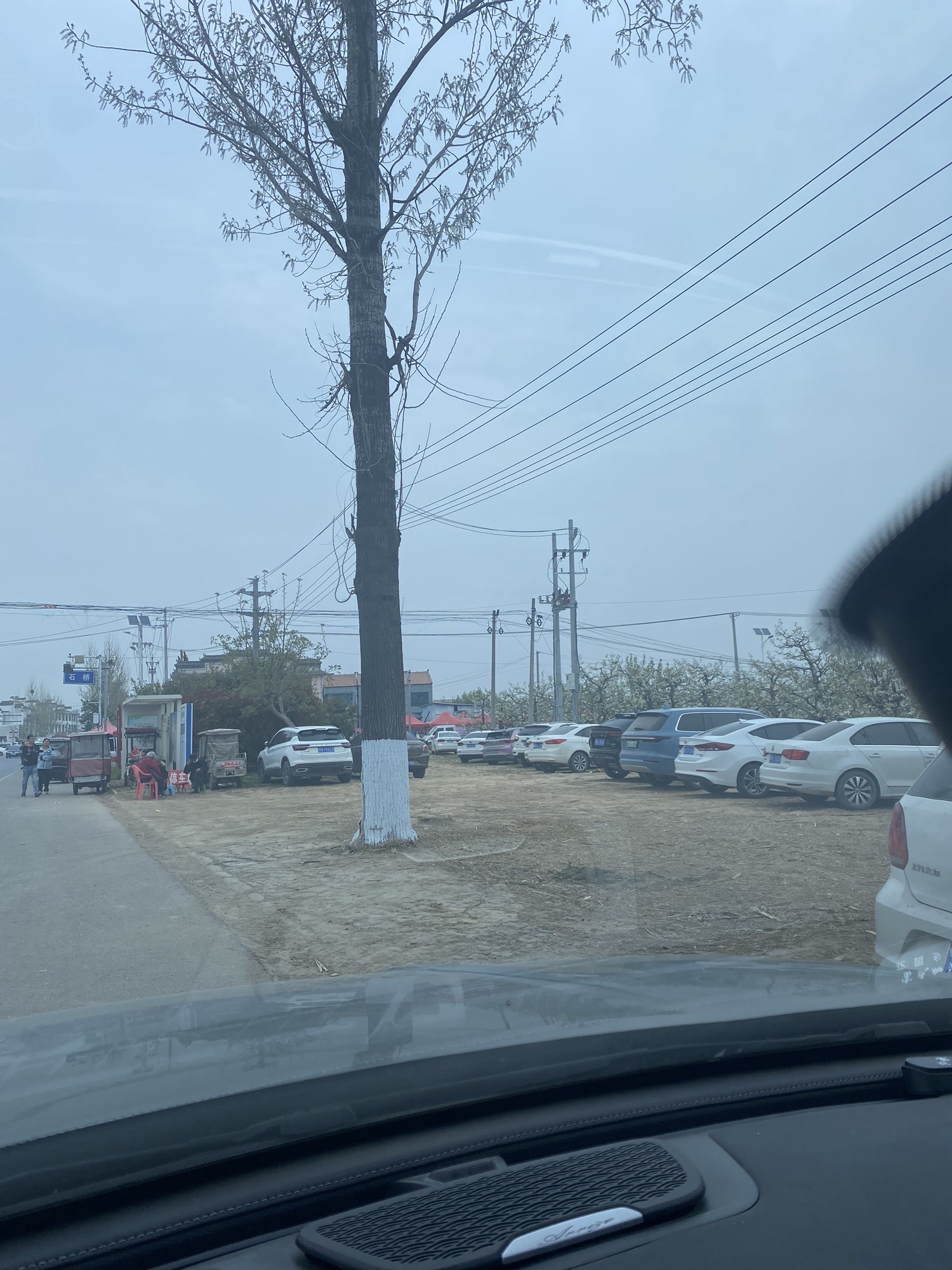 宁陵万亩梨园景区旅行图片 1