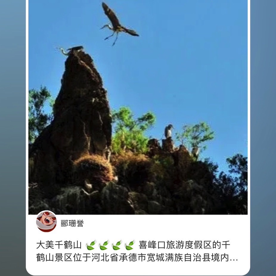 宽城千鹤山旅行图片 3