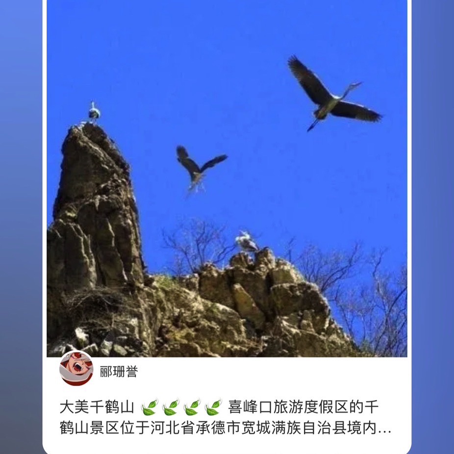 宽城千鹤山旅行图片 2