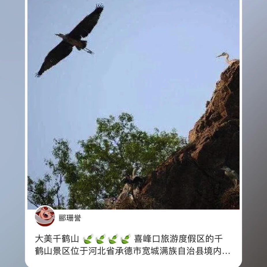 宽城千鹤山旅行图片 1