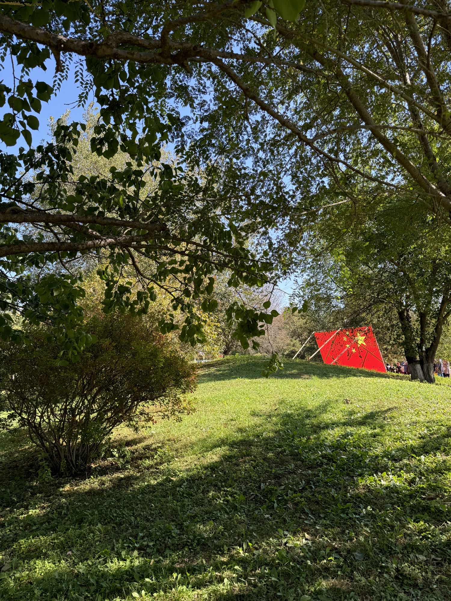 百木园旅行图片 2