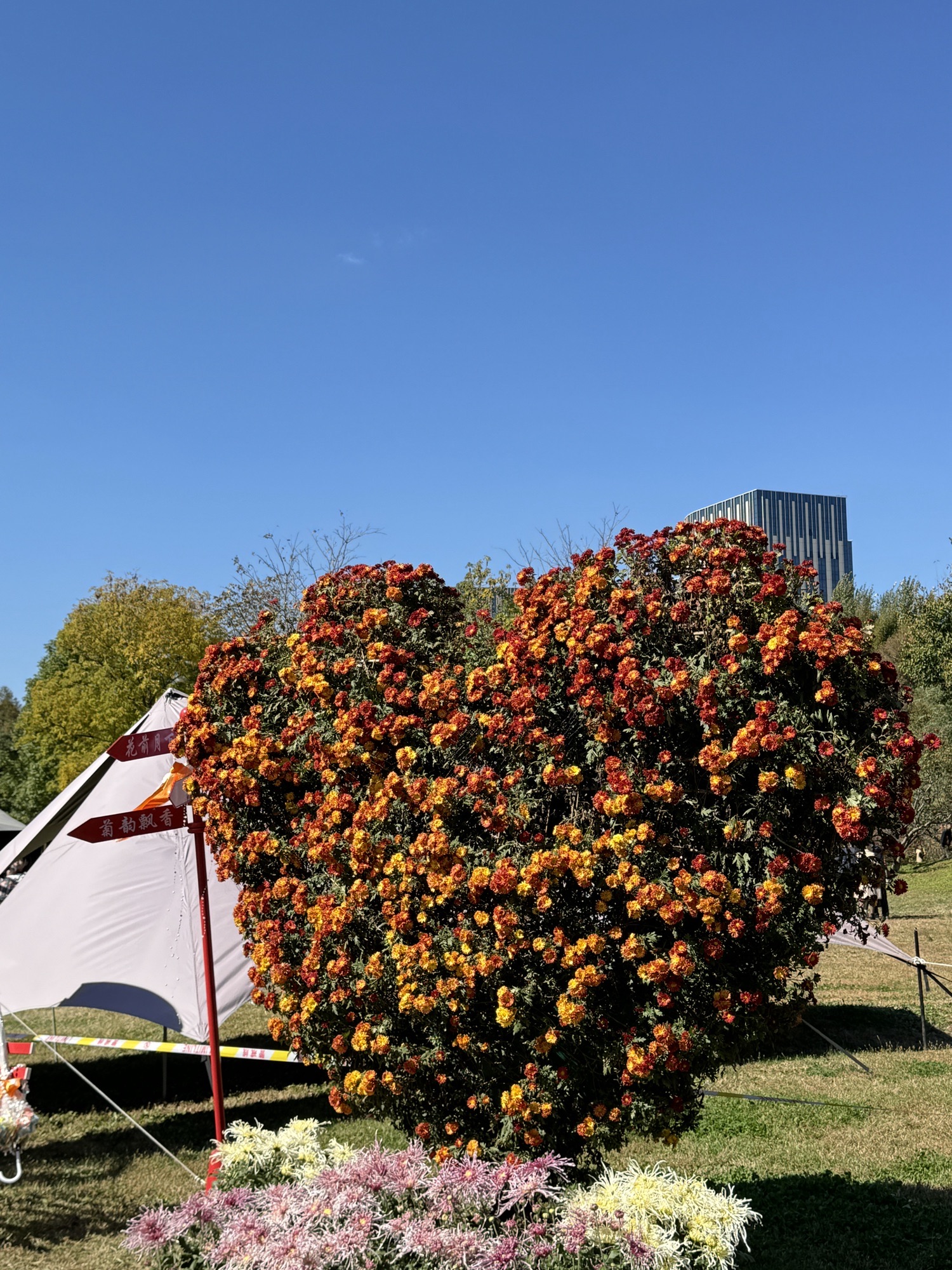 百木园旅行图片 1
