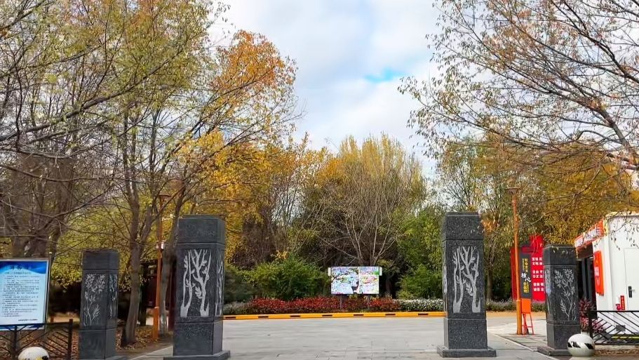 百木园旅行图片 1