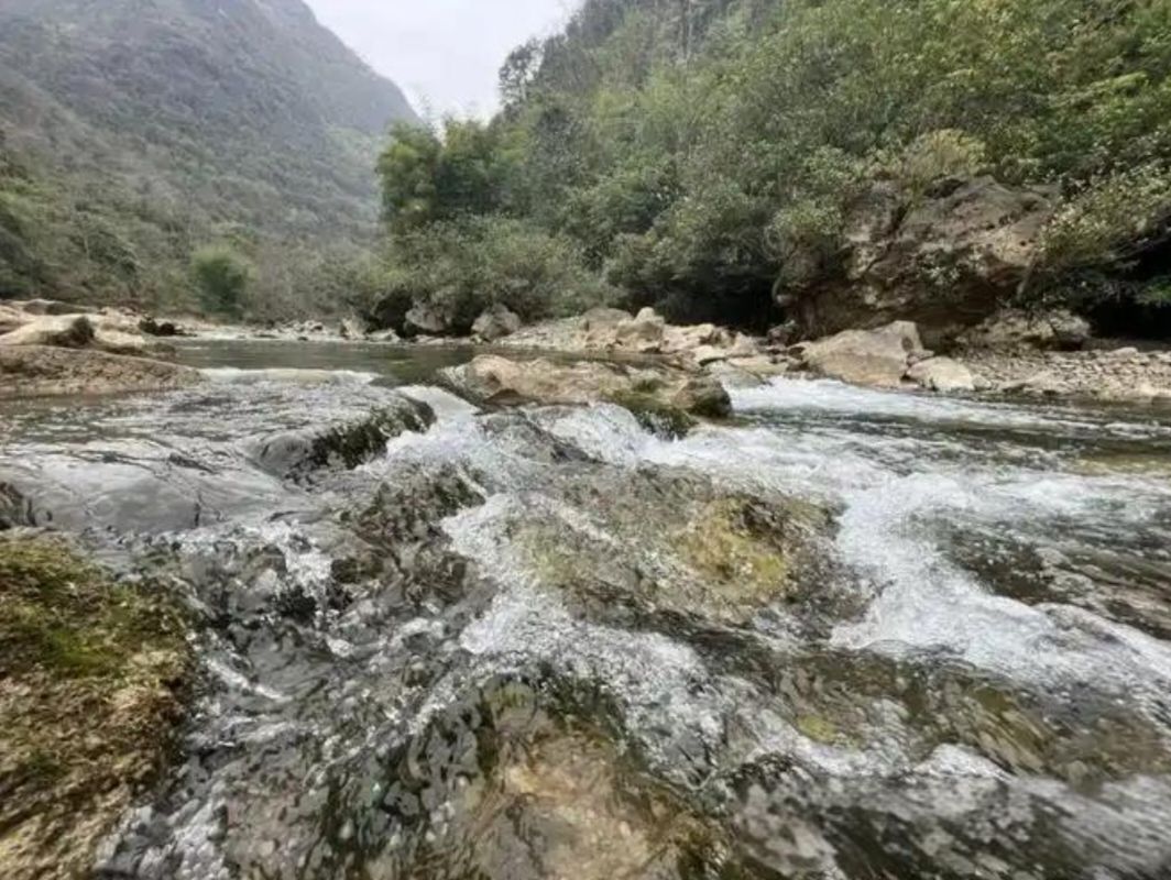 木论喀斯特生态旅游景区旅行图片 3