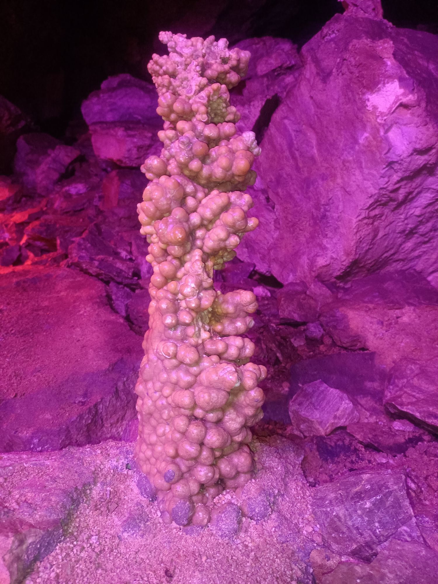 叮当洞景区旅行图片 2