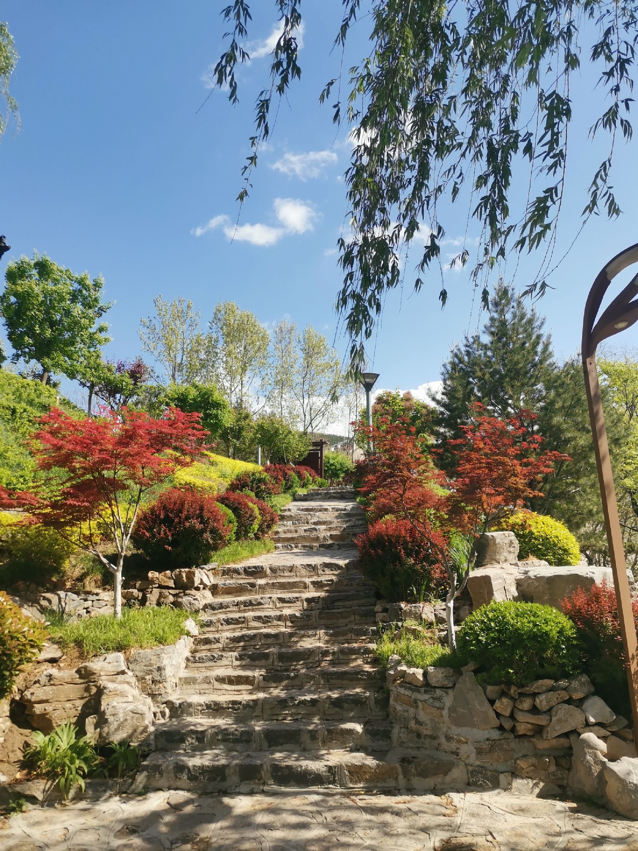 历阳湖旅行图片 1