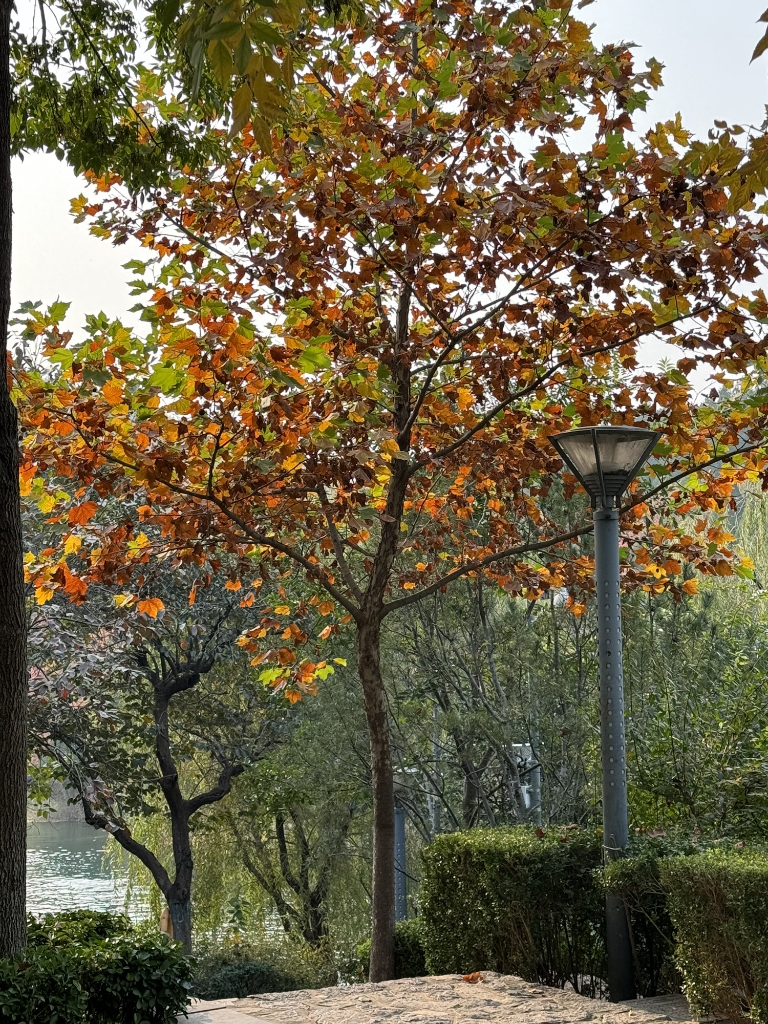 历阳湖旅行图片 2