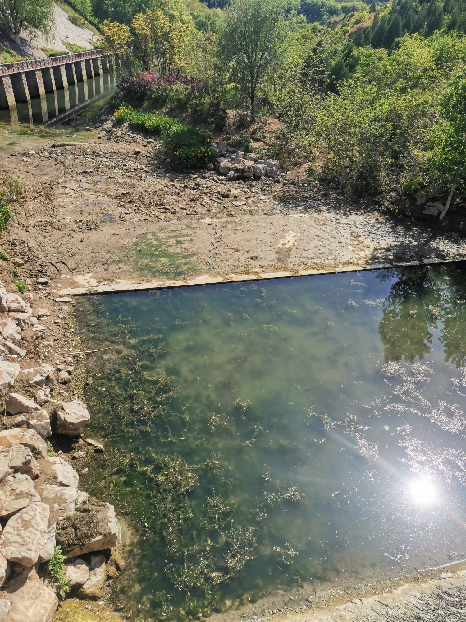 历阳湖旅行图片 3