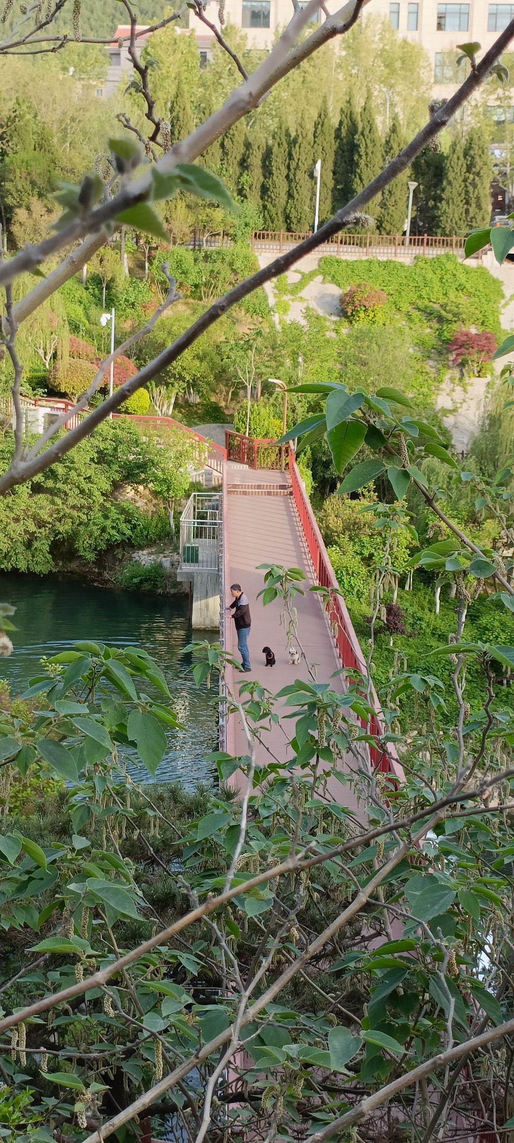 历阳湖旅行图片 3