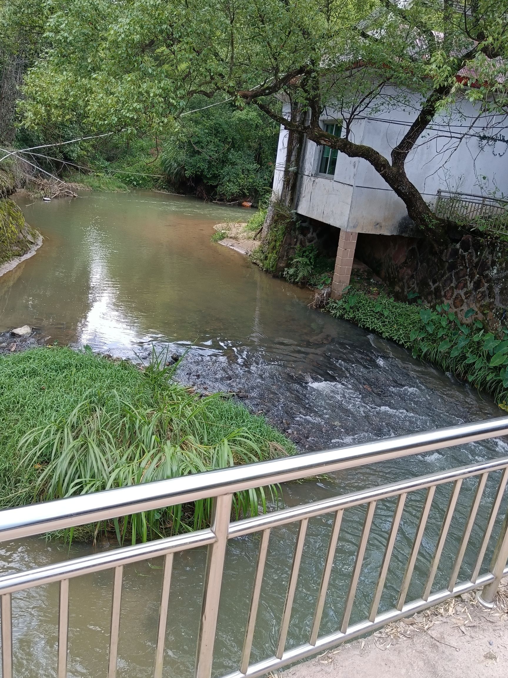 铜盘漂流景区旅行图片 2
