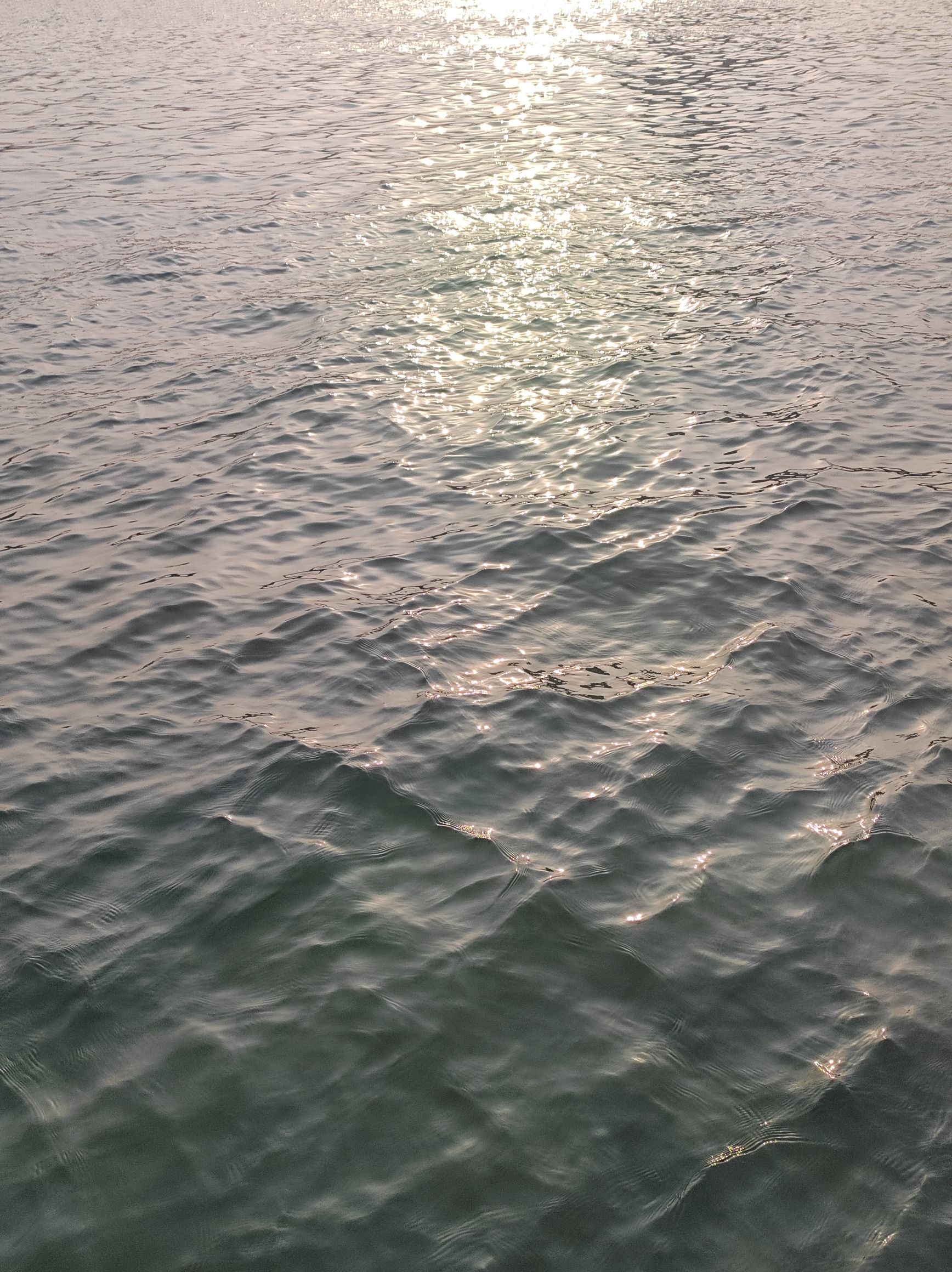 鸢都湖水上游乐园旅行图片 3