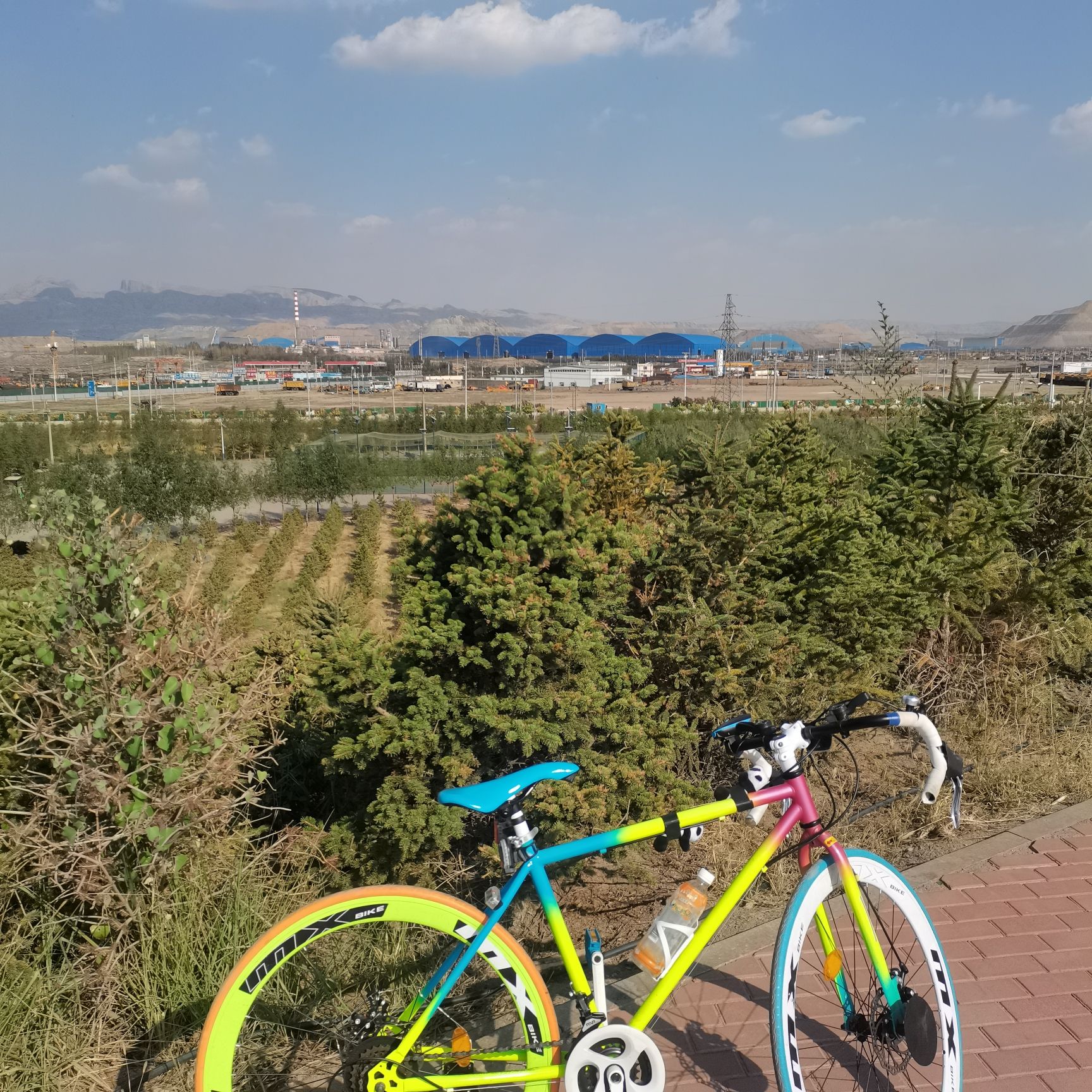 葡萄公园