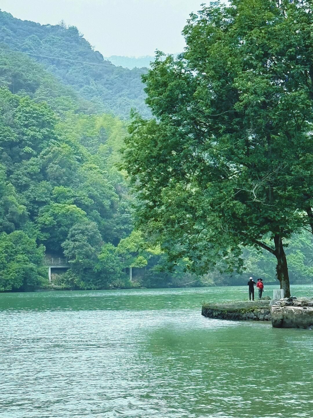 七里扬帆旅行图片 3