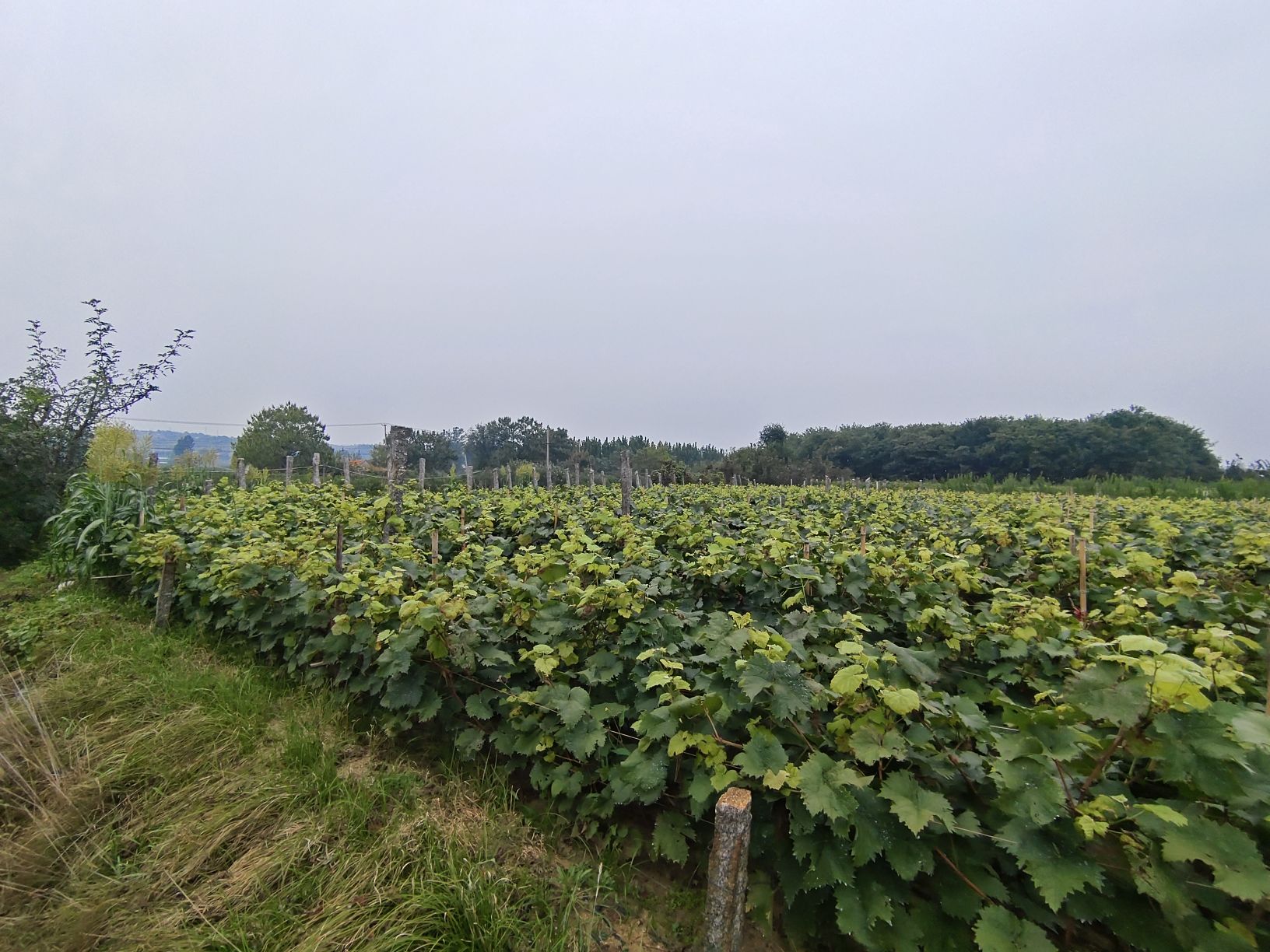 骑行小镇旅行图片 2