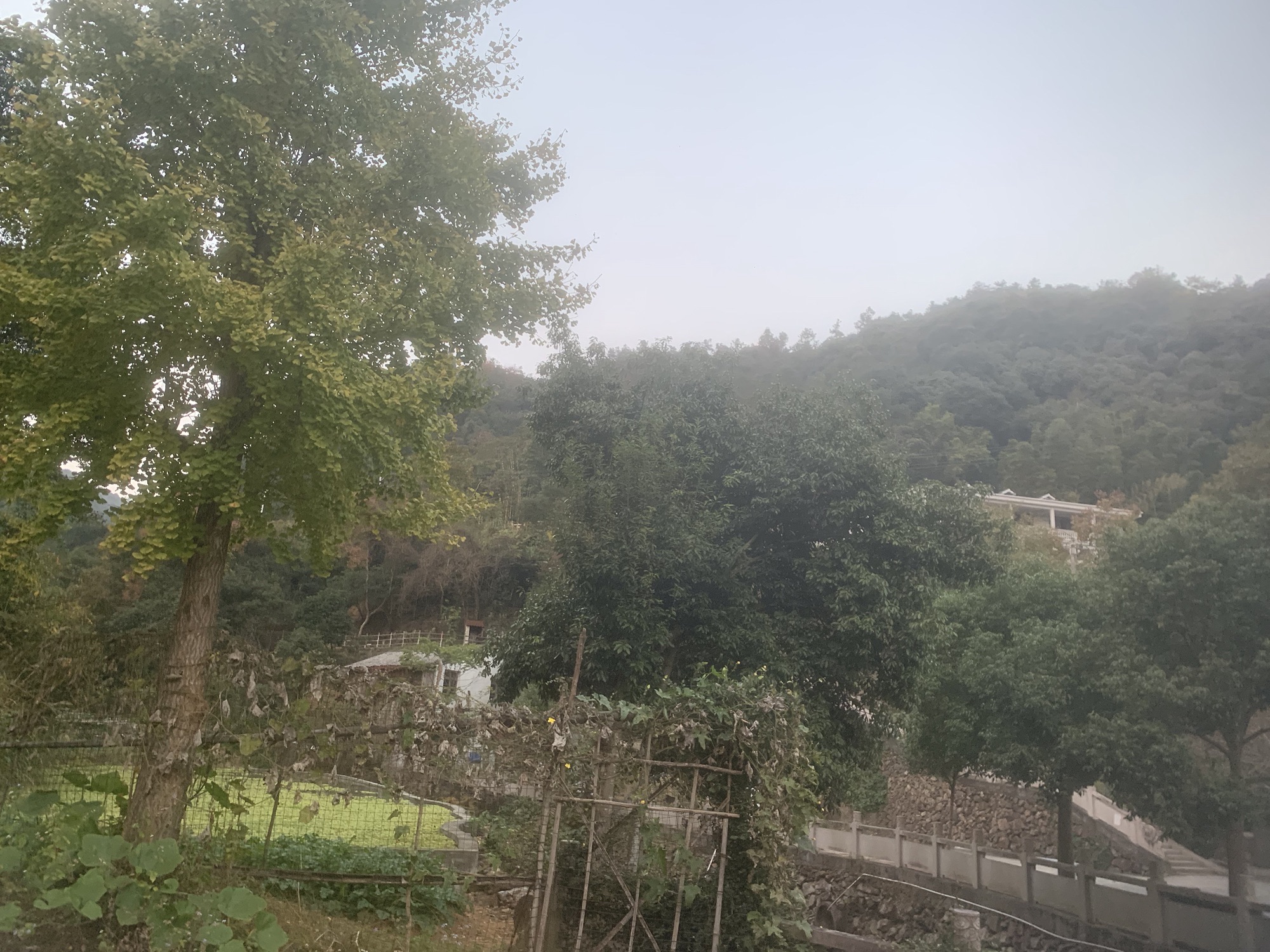 龙王峡谷旅行图片 2