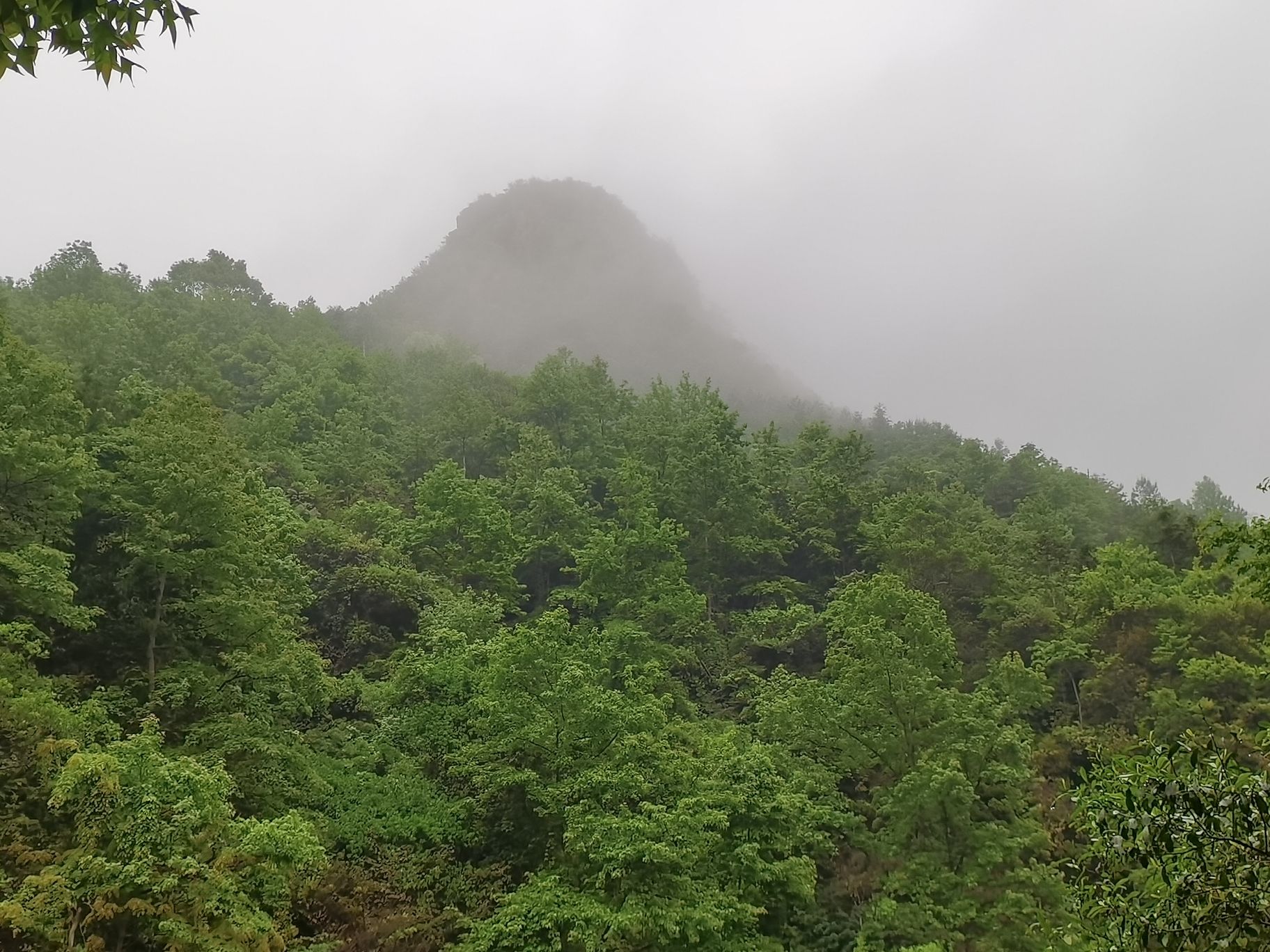 龙王峡谷旅行图片 3