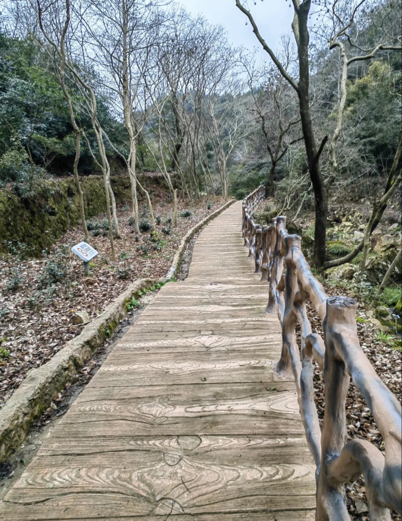 龙王峡谷旅行图片 3