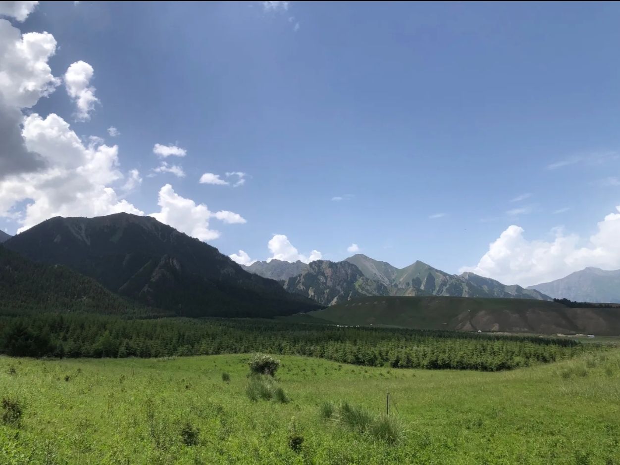乌苏市森林公园