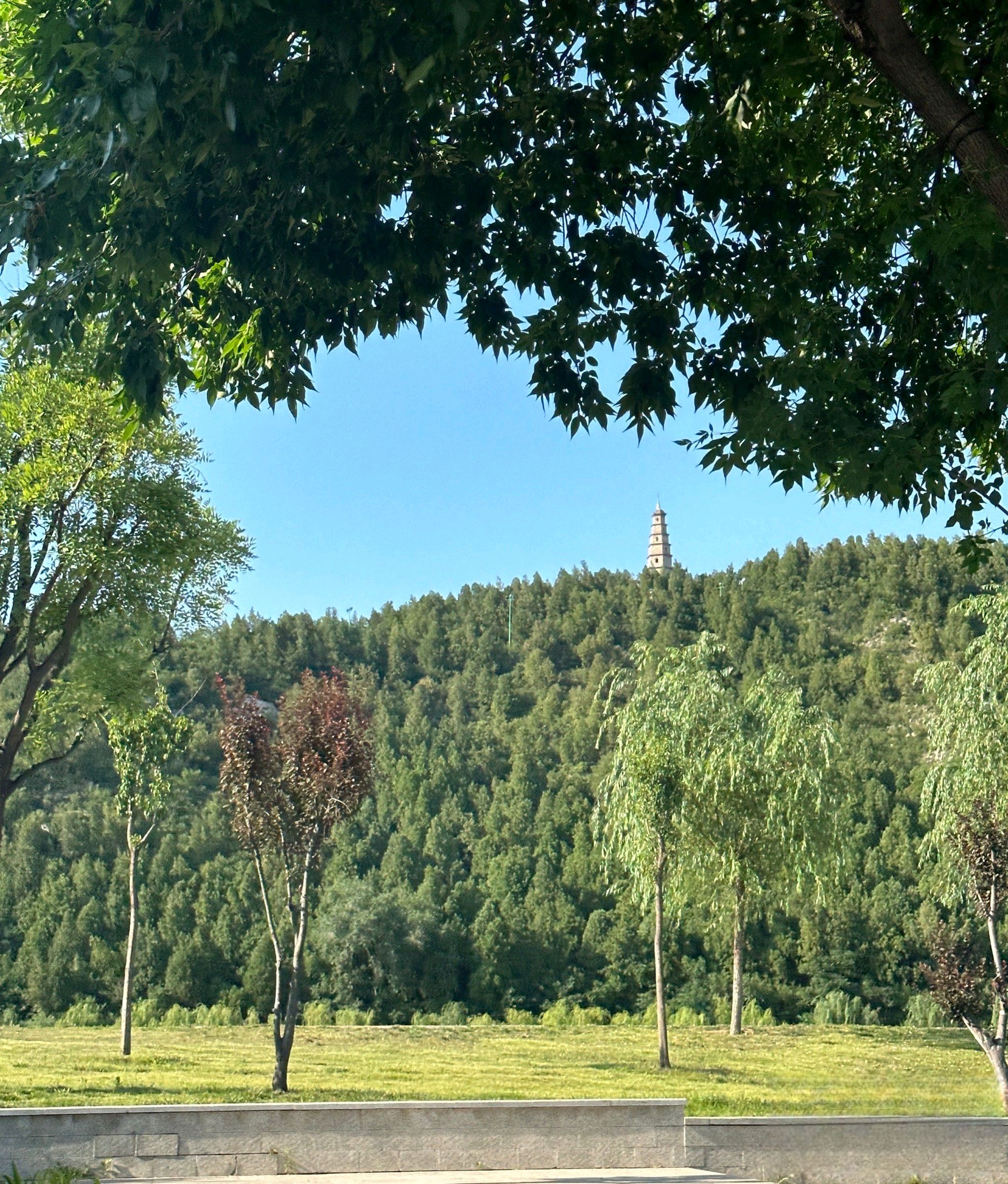 林州市龙湖公园旅行图片 2