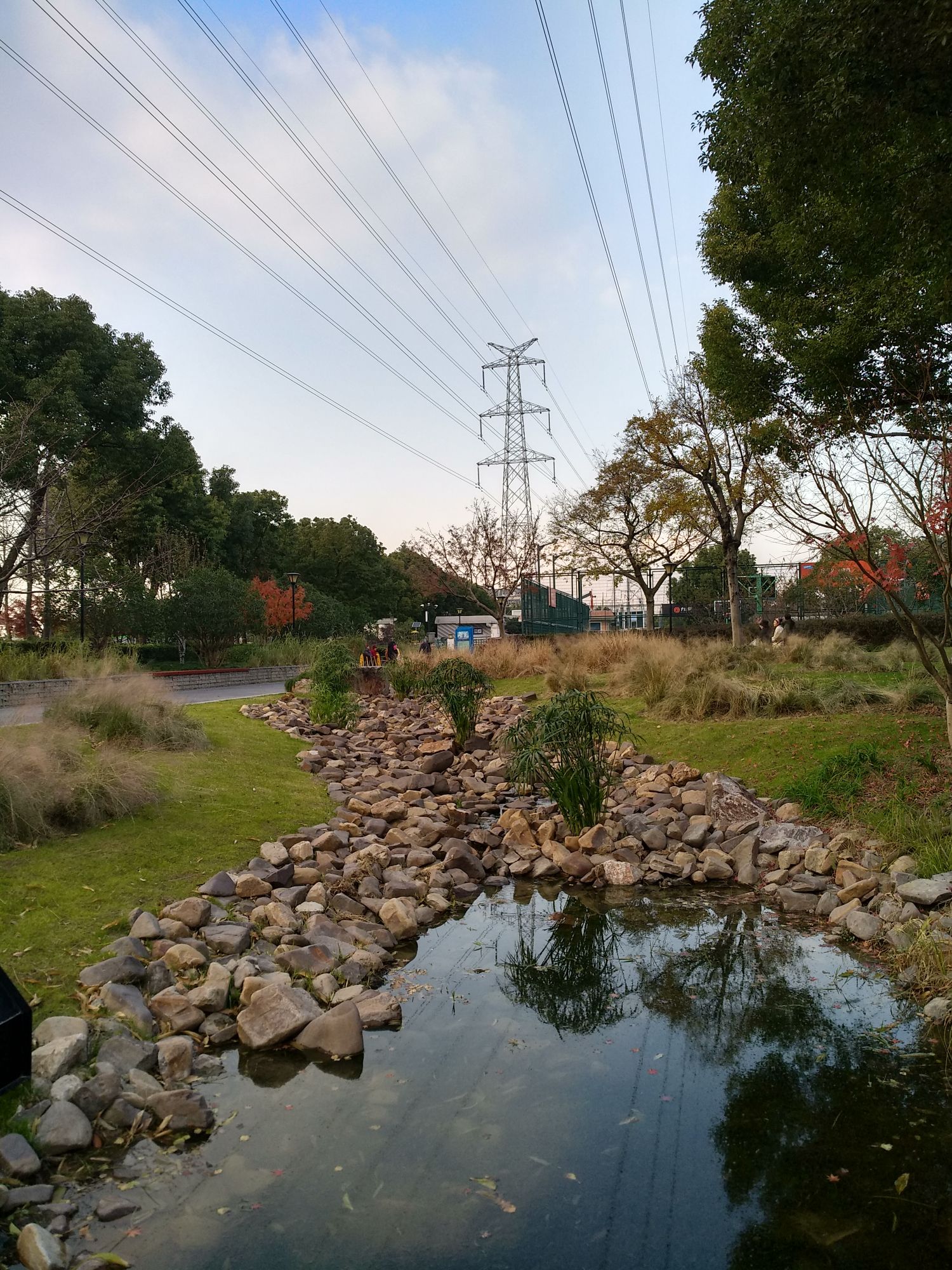 东茭泾公园旅行图片 2