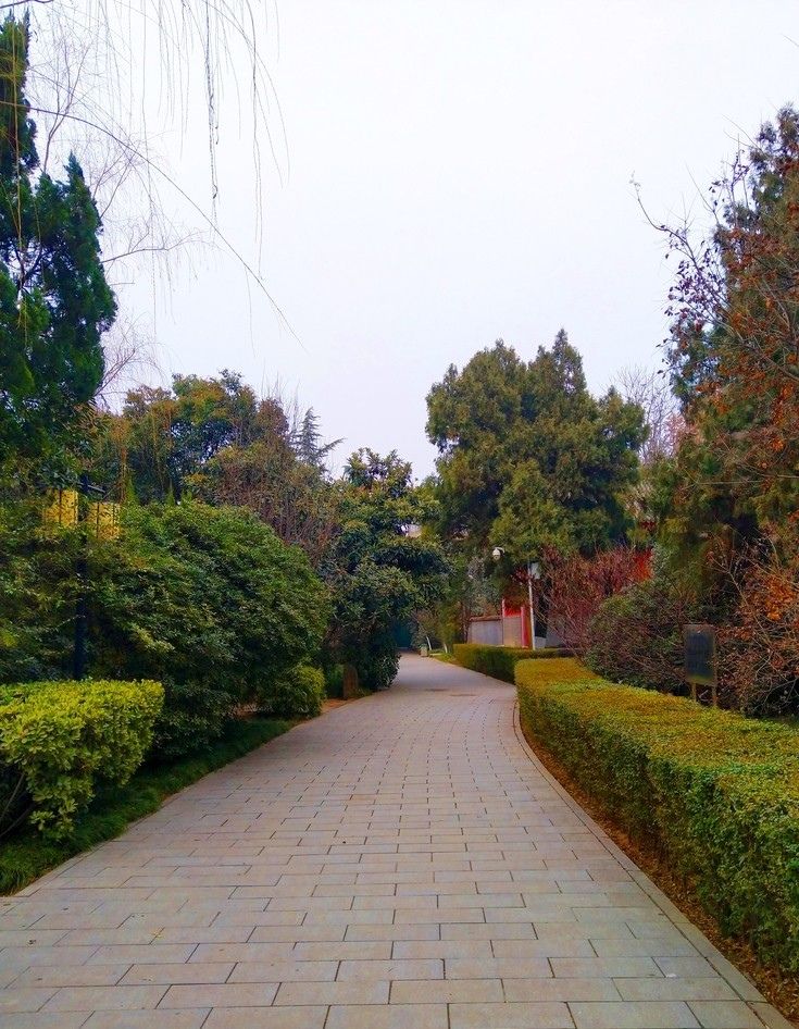 美茵运动公园旅行图片 3