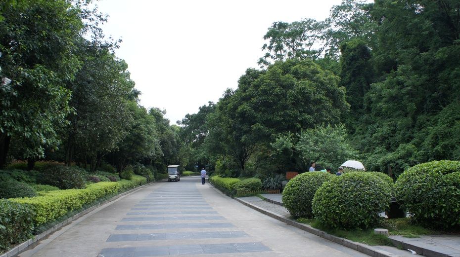 美茵运动公园旅行图片 2