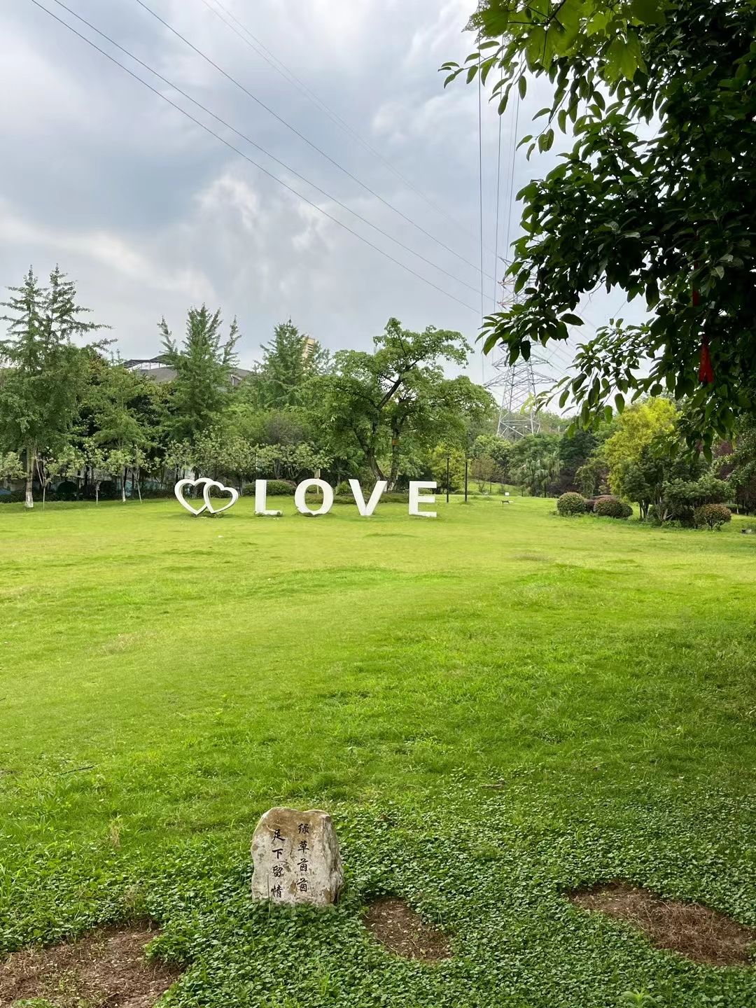美茵运动公园旅行图片 2