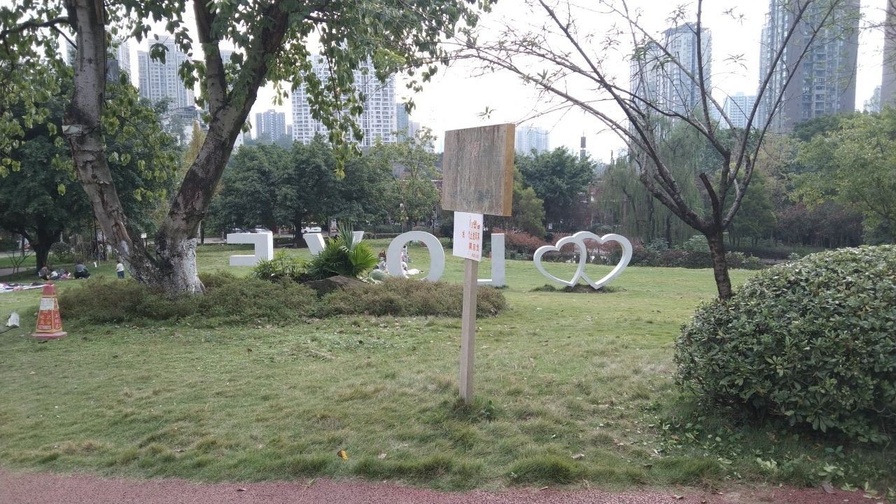 美茵运动公园旅行图片 1