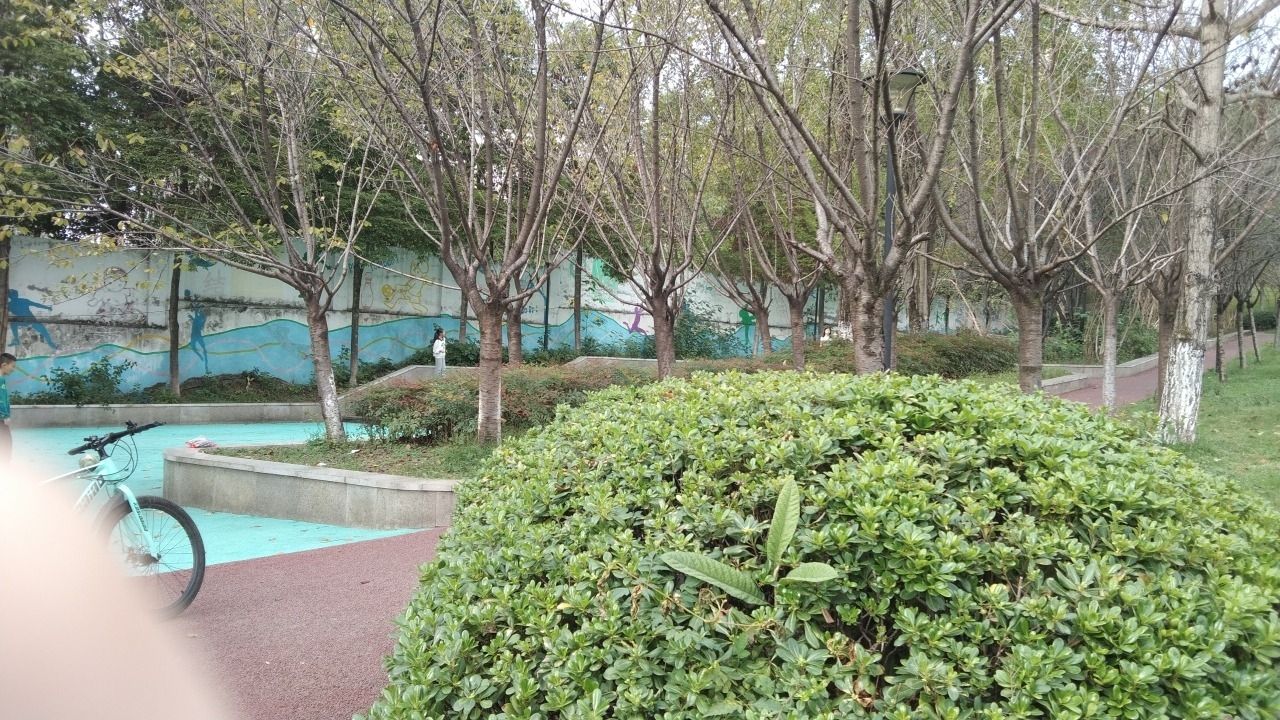 美茵运动公园旅行图片 3